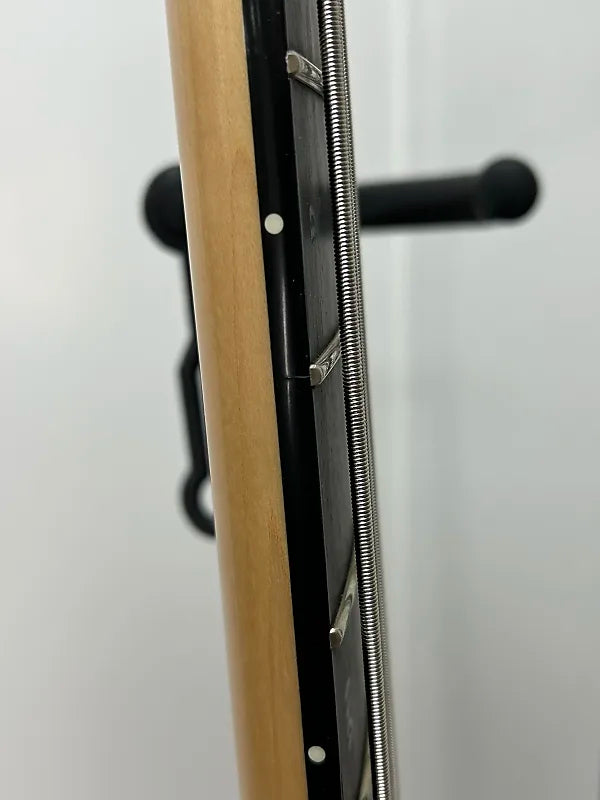 Schecter C-4 GT Bass - Natural