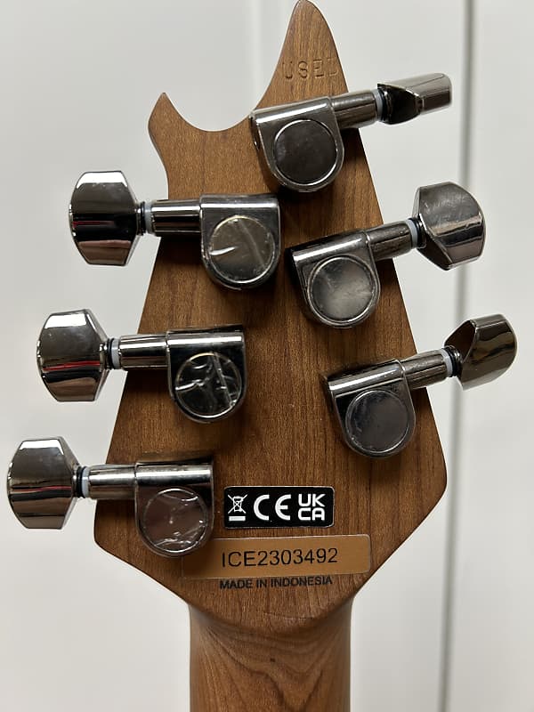 EVH Wolfgang WG Standard Exotic Zebrawood - Zebrawood Natural