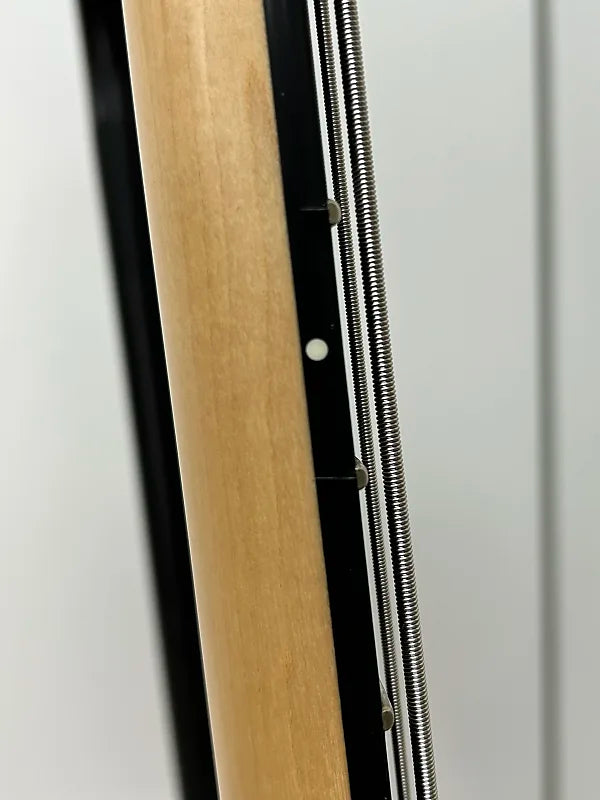 Schecter C-4 GT Bass - Natural