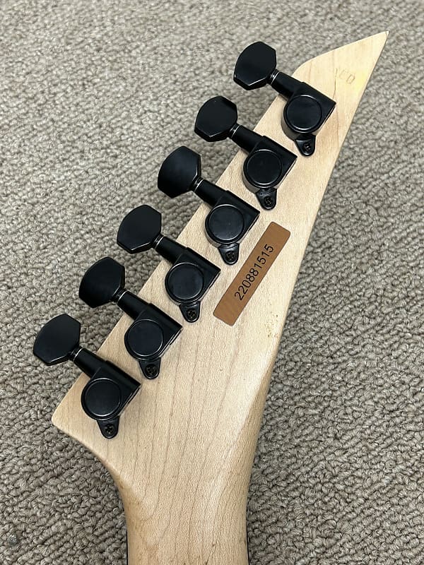 Jackson Pro Series RR24Q Rhoads - Winterstorm