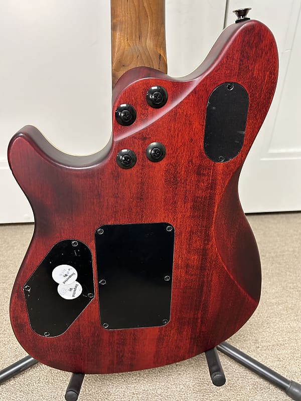 EVH Wolfgang WG Standard Exotic Zebrawood - Zebrawood Natural