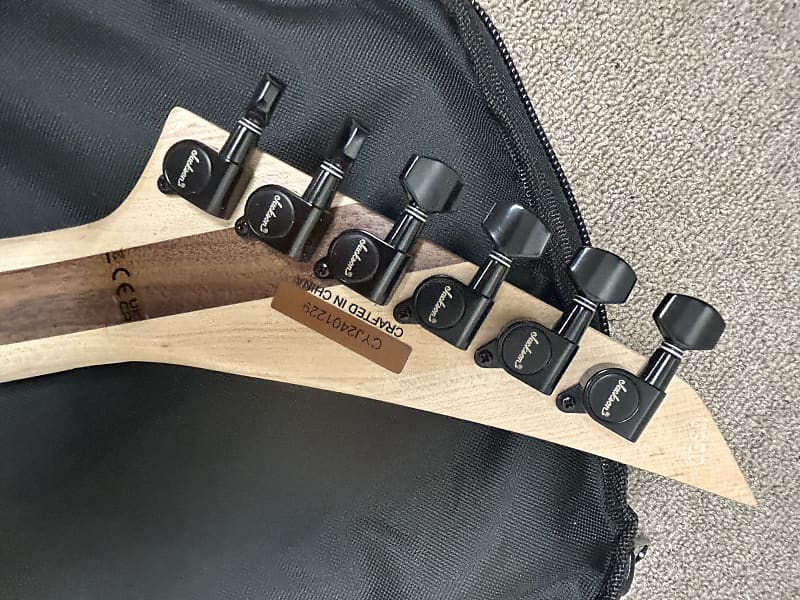 Jackson Pro Plus Series RR24 Rhoads Electric Guitar - Mirror