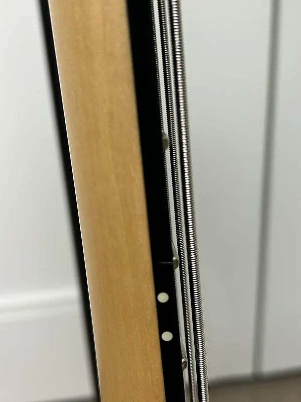 Schecter C-4 GT Bass - Natural