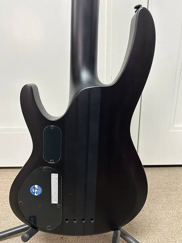 ESP LTD B-4 Ebony Bass Guitar - Charcoal Burst Satin