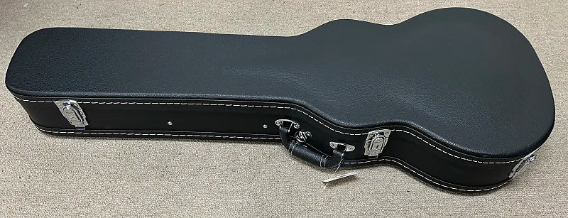 Aria Pro CG-120LP Electric Guitar Case