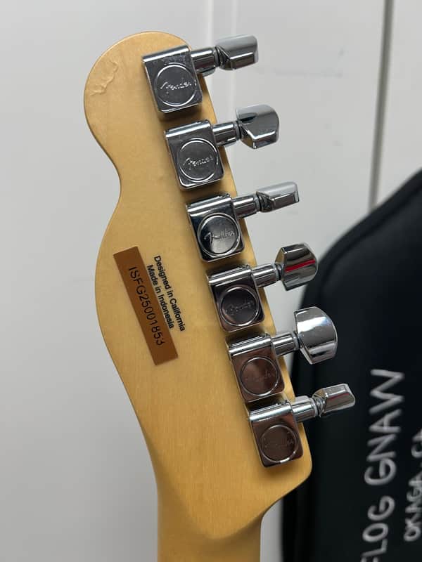 Fender Tyler, The Creator Signature Camp Flog Gnaw Standard Telecaster - Olympic White