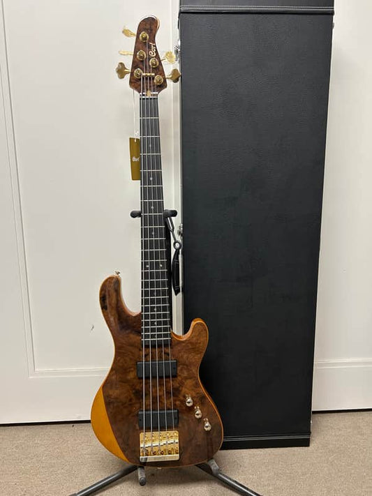Cort Jeff Berlin Series Rithimic V NAT Walnut Burl Top 5-String Bass - Natural w/Free Hard Case