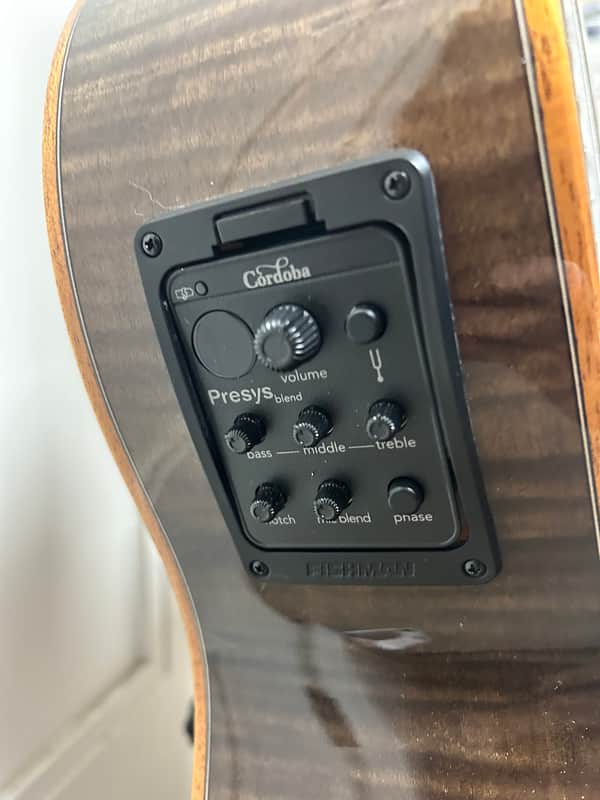 Cordoba Fusion 12 Exotic Top Nylon String Classical Acoustic Guitar w/Electronics - Cinnamon Burst
