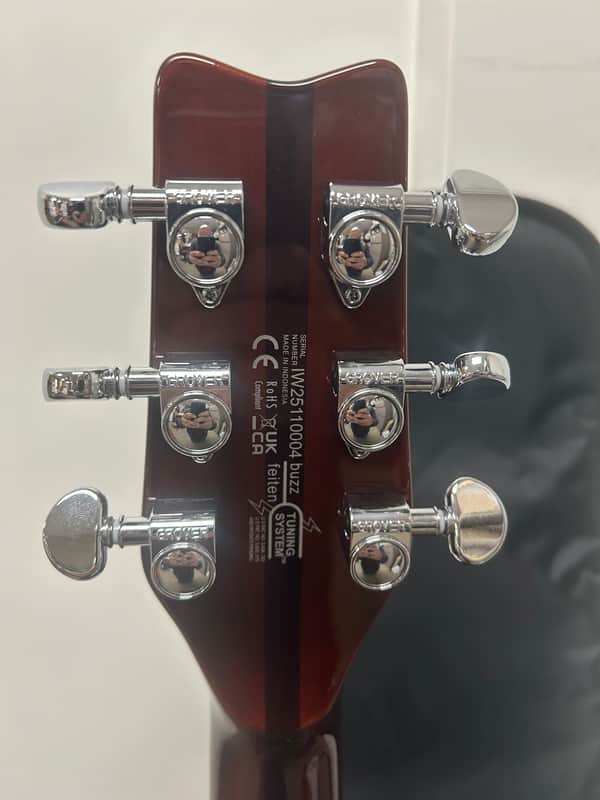 Washburn H10TS Wing Series Hawk Electric Guitar - Tobacco Sunburst w/Free Gigbag