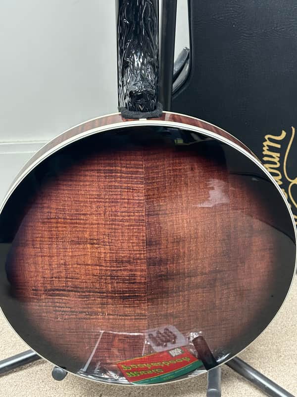 Washburn Americana Series B17K-D-U 5-String Resonator Banjo w/Hard Case- B-Stock