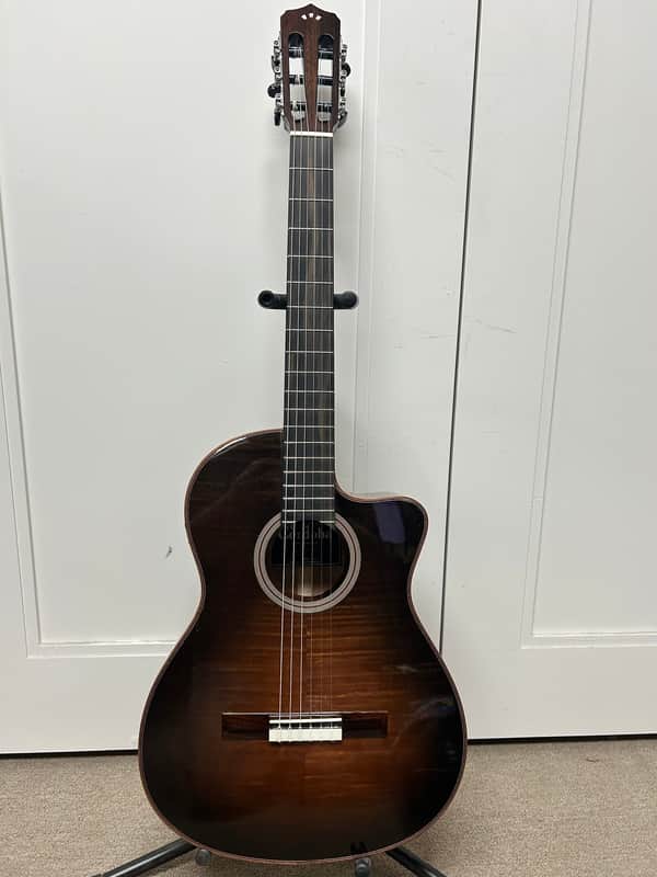 Cordoba Fusion 12 Exotic Top Nylon String Classical Acoustic Guitar w/Electronics - Cinnamon Burst
