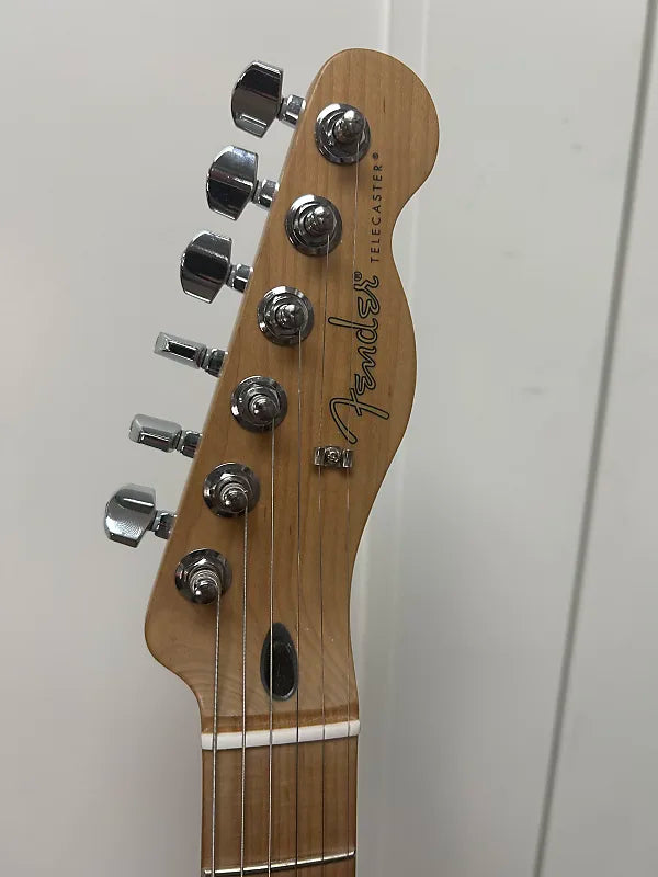 Fender Ltd Ed Player Telecaster with Roasted Maple Fretboard - Sienna Sunburst