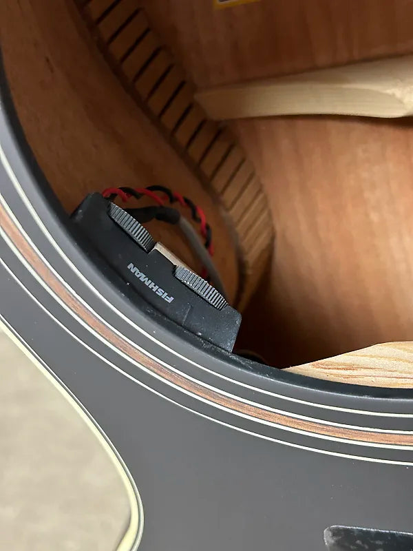 Warwick Alien Standard 5 String Acoustic Electric Bass - Black