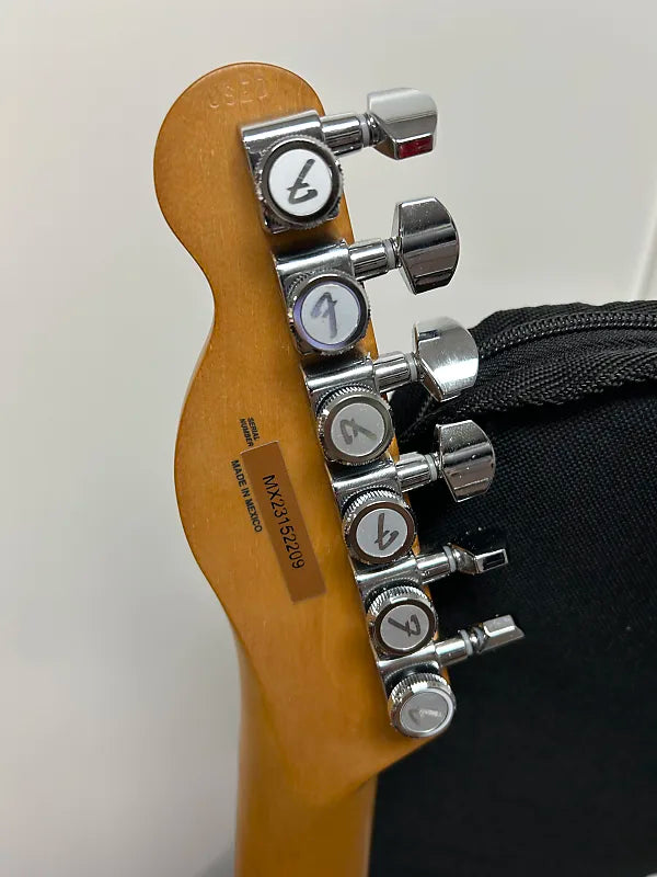 Fender Player Plus Nashville Telecaster with Pau Ferro Fretboard - Sienna Sunburst