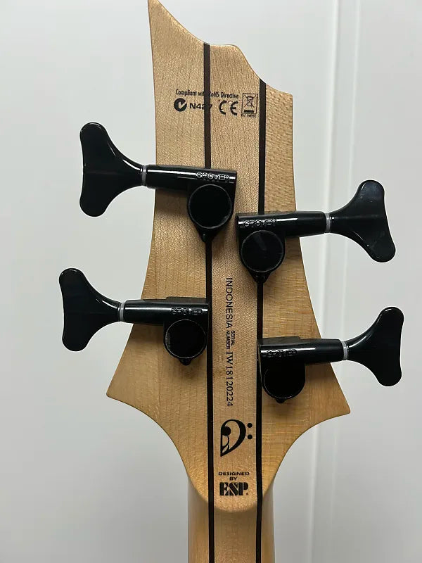 ESP LTD RB-1004SM Bass Guitar - Natural Satin