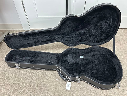 Aria Pro CG-120SA Hollow Body Guitar Hard Case