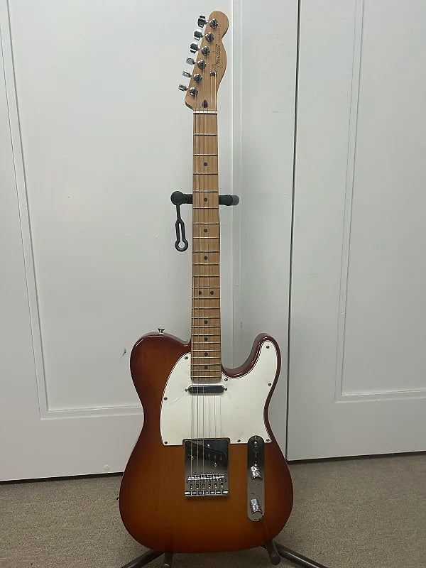 Fender Ltd Ed Player Telecaster with Roasted Maple Fretboard - Sienna Sunburst