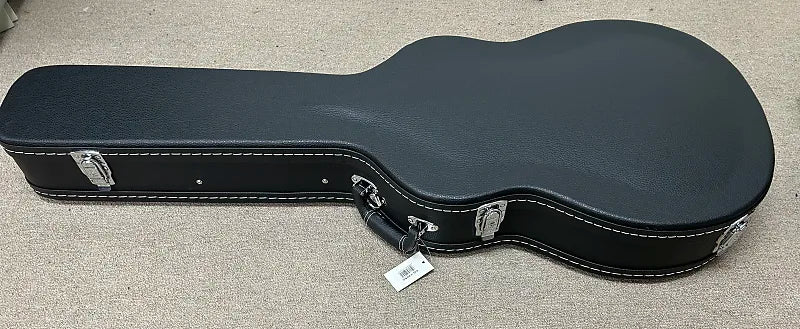 Aria Pro CG-120SA Hollow Body Guitar Hard Case