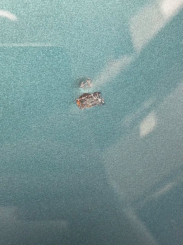 Fender Vintera II '70s Competition Mustang Bass with Rosewood Fretboard - Competition Burgundy